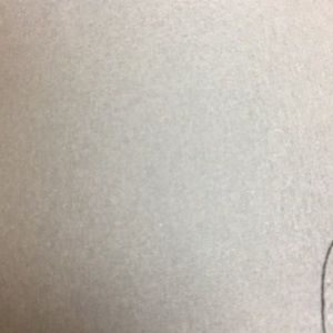 Meet your Posher, Latrice